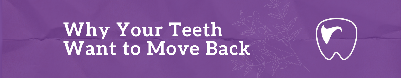 Why Your Teeth Want to Move Back
