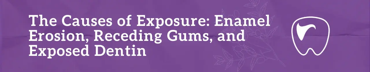 The Causes of Exposure Enamel Erosion, Receding Gums, and Exposed Dentin
