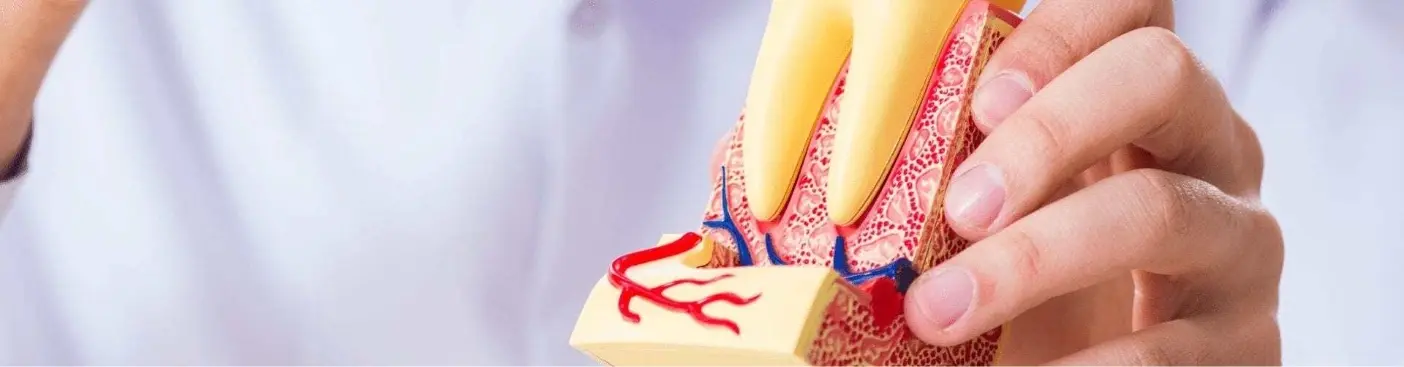 Endodontics (Root Canal Treatment) in Johor Bahru