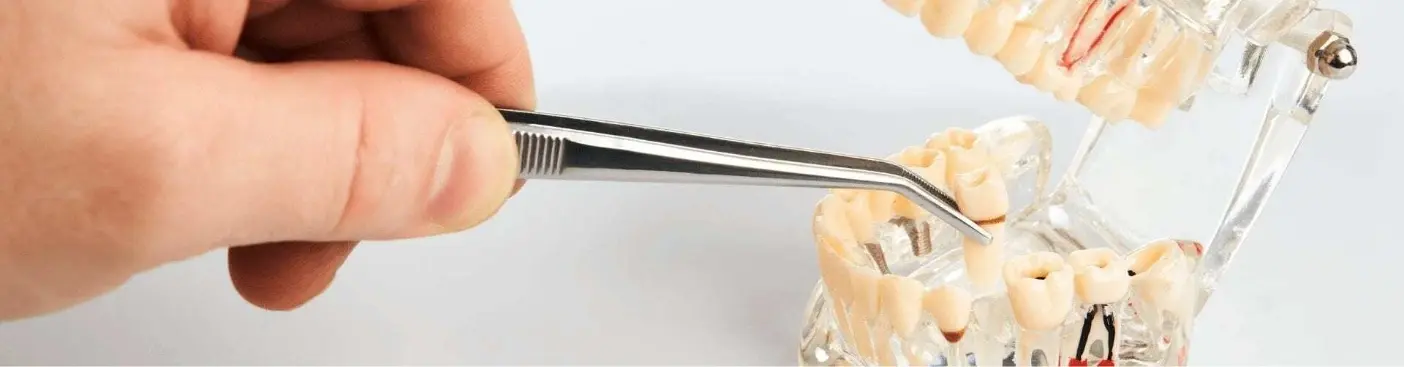Surgical Dentistry in Johor Bahru