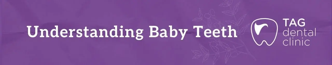 Understanding Baby Teeth