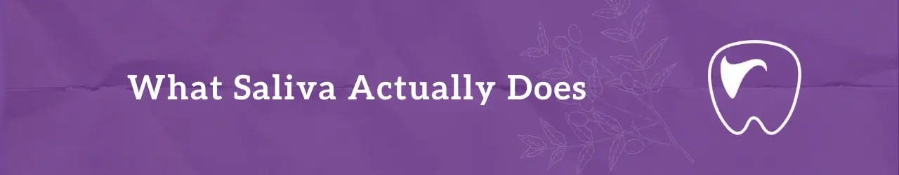 what-saliva-actually-does